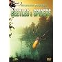 Wildlife Stories - The Whole Story: Beetles & Spiders