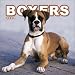 Boxers Mini 2004 Calendar