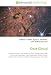 Oort Cloud: Proxima Centauri, Hills cloud, Jan Oort, Protoplanetary disk, Julio Angel Fernandez, Comet Hale-Bopp, Halley's Comet, Galactic tide, Richard A. Muller, Detached object, Ernst Oepik