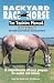 Backyard Race Horse: the Training Manual: A Comprehensive Off-Track Program for Owners and Trainers (Backyard Race Horse: The Training Manual) (Backyard Race Horse: The Training Manual)