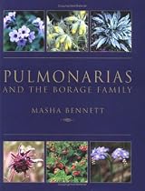 Pulmonarias and the Borage Family