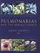 Pulmonarias and the Borage Family