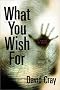 What You Wish for