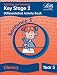 Letts Primary Activity Books for Schools - KS2 Literacy Differentiated Activity Book: Sentence Level Y5 (Key Stage 2 literacy textbooks)