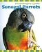 Senegal Parrots (The Birdkeepers' Guides)