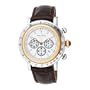 Nautica Men's N15006G Spettacolare Chronograph Watch