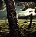 Brainstorm-Memorial Roots
