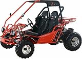 150cc Go Kart 2 Seater