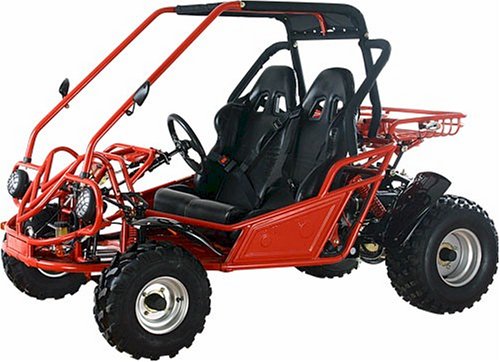 150cc Go Kart 2 Seater