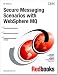 Secure Messaging Scenarios With WebSphere MQ