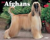 Just Afghans 2007 Calendar (Just)