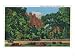 Zion National Park, Utah - View of the Temple of Sinawava Giclee Poster Print, 24x32