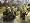 Company of Heroes - Incl. Dawn of War: Game of the Year Edition (PC DVD)