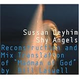 ShyAngels:ReconstructionAndMixTranslationOfMadmanOfGod