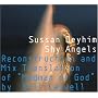 Shy Angels: Reconstruction And Mix Translation Of Madman Of God
