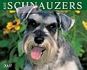 Just Schnauzers 2007 Calendar