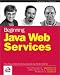 Books : Beginning Java Web Services