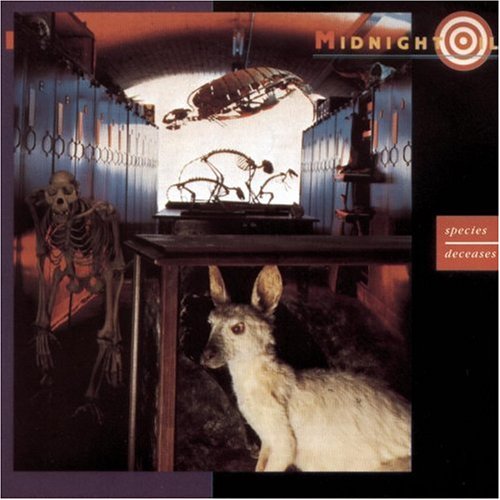 Midnight Oil - Hercules Lyrics - Zortam Music