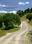 Backroad Wineries of Southern California: A Scenic Tour of California's Country Wineries