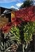 Traditional Mexican Style Exteriors