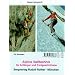 Alpine Seiltechnik für Anfänger und Fortgeschrittene (Alpine Lehrschrift)
