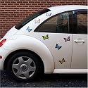 Butterfly Car Magnets