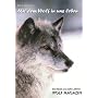 Mit dem Wolf in uns leben: Das Beste aus zehn Jahren Wolf Magazin