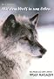 Mit dem Wolf in uns leben: Das Beste aus zehn Jahren Wolf Magazin
