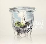 EDEN TYPE-A