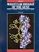 Price Comparison : Molecular Biology of the Gene