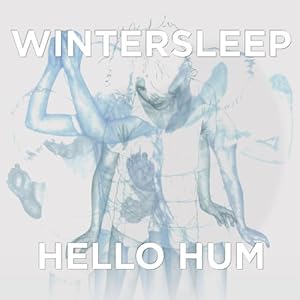 Wintersleep - Hello Hum