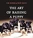 The Art of Raising a Puppy