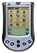 Electronics : Palm m125