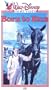 Born to Run [VHS]
