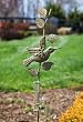 Decorative Dove Garden Stake with Rain Gauge Decorative Dove Garden Stake with Rain Gauge