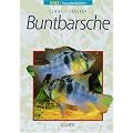 Buntbarsche