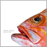 Clara Luzia – We Are Fish