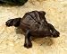 Frog Key Hider