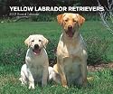 Yellow Labrador Retrievers 2007 Calendar [BOX SET]