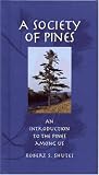  : A Society of Pines: An Introduction to the Pines Among Us