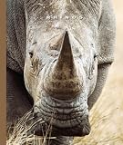 Rhinos (The World of Mammals)