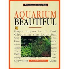 Aquarium Beautiful