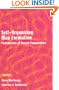 Self-Organizing Map Formation: Foundations of Neural Computation (Computational Neuroscience)