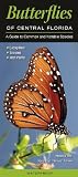 Butterflies of Central Florida