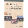 L'�volution des gestes techniques technologie et typologie pr�historiques