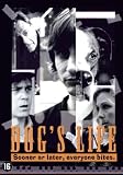 Dogs Life [ NON-USA FORMAT, PAL, Reg.2 Import - Netherlands ]
