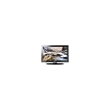 Toshiba 32c110u 32 Inch LCD TV-16:9 Dynalight Technology Blockbuster Hd Entertainment