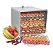 Sausage Maker Stainless Steel Food Dehydrator, D10