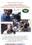Design For Safety & Quality: Lessons Learned from the Analysis of Crashed Daimler-Benz / Mercedes Automobiles