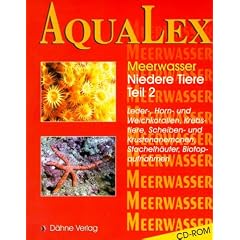 AquaLex - Meerwasser: Niedere Tiere 2